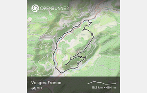 VTCae groupe Vert